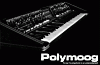 Poly Moog - Polyphonic synthesizer